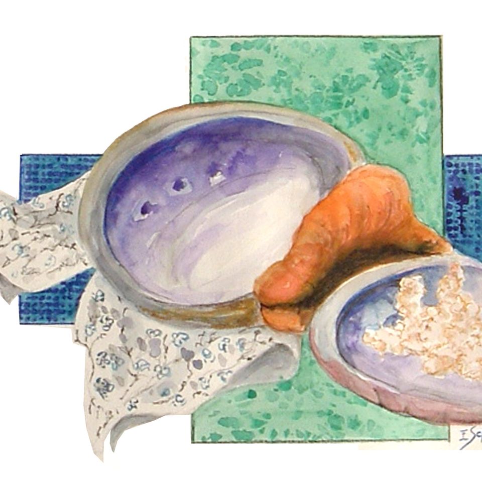 Shells