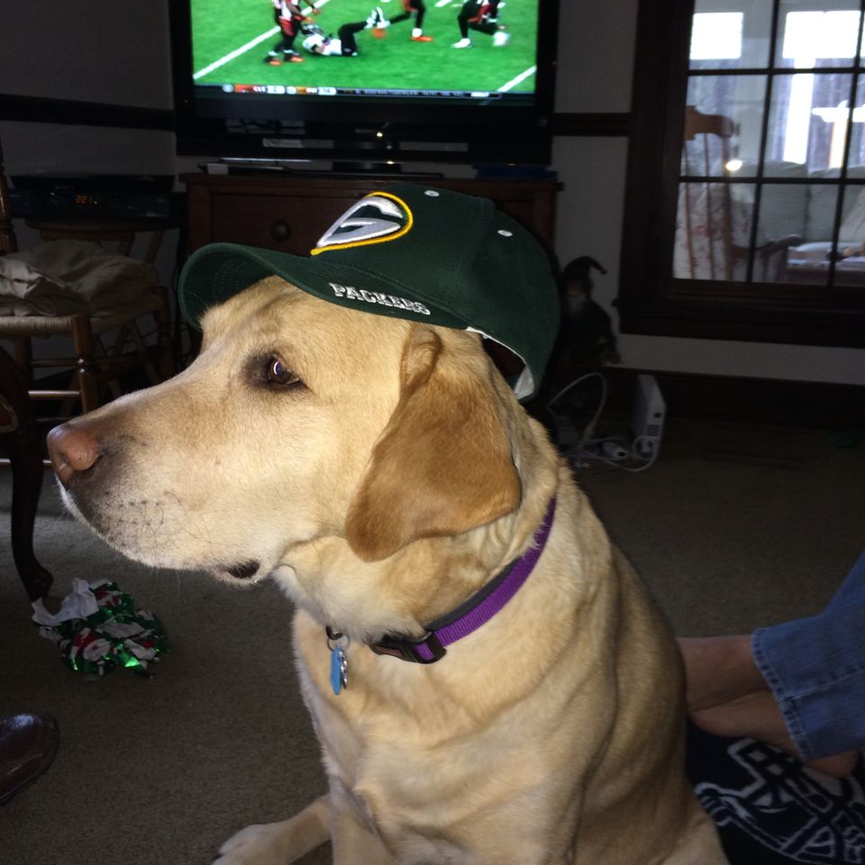 Packers fan