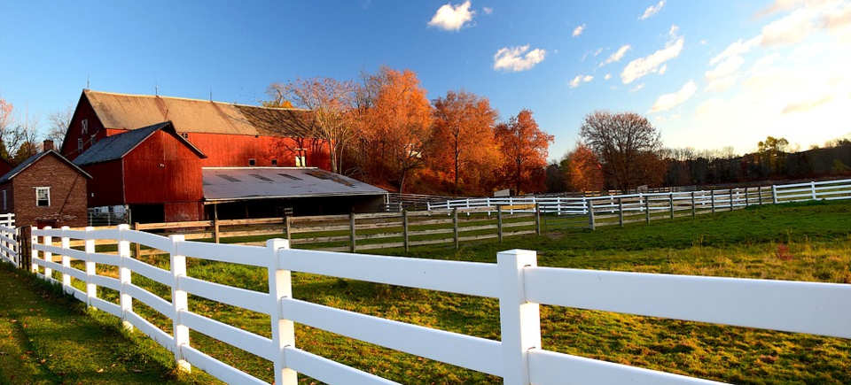 Raleigh Fence, Raleigh NC fence, Raleigh Fencing, Raleigh NC, Raleigh Fence Installation, Raleigh NC Fence Installation