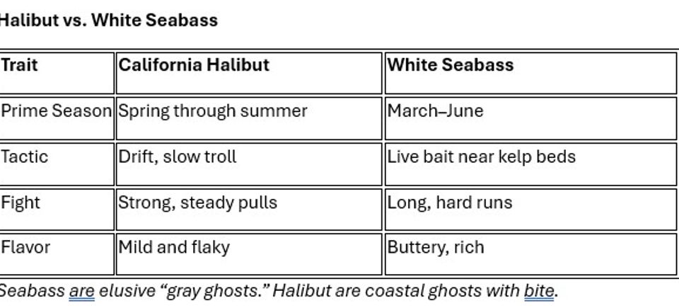 Hal vs wsb