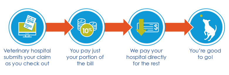 Vet direct pay graphic mock