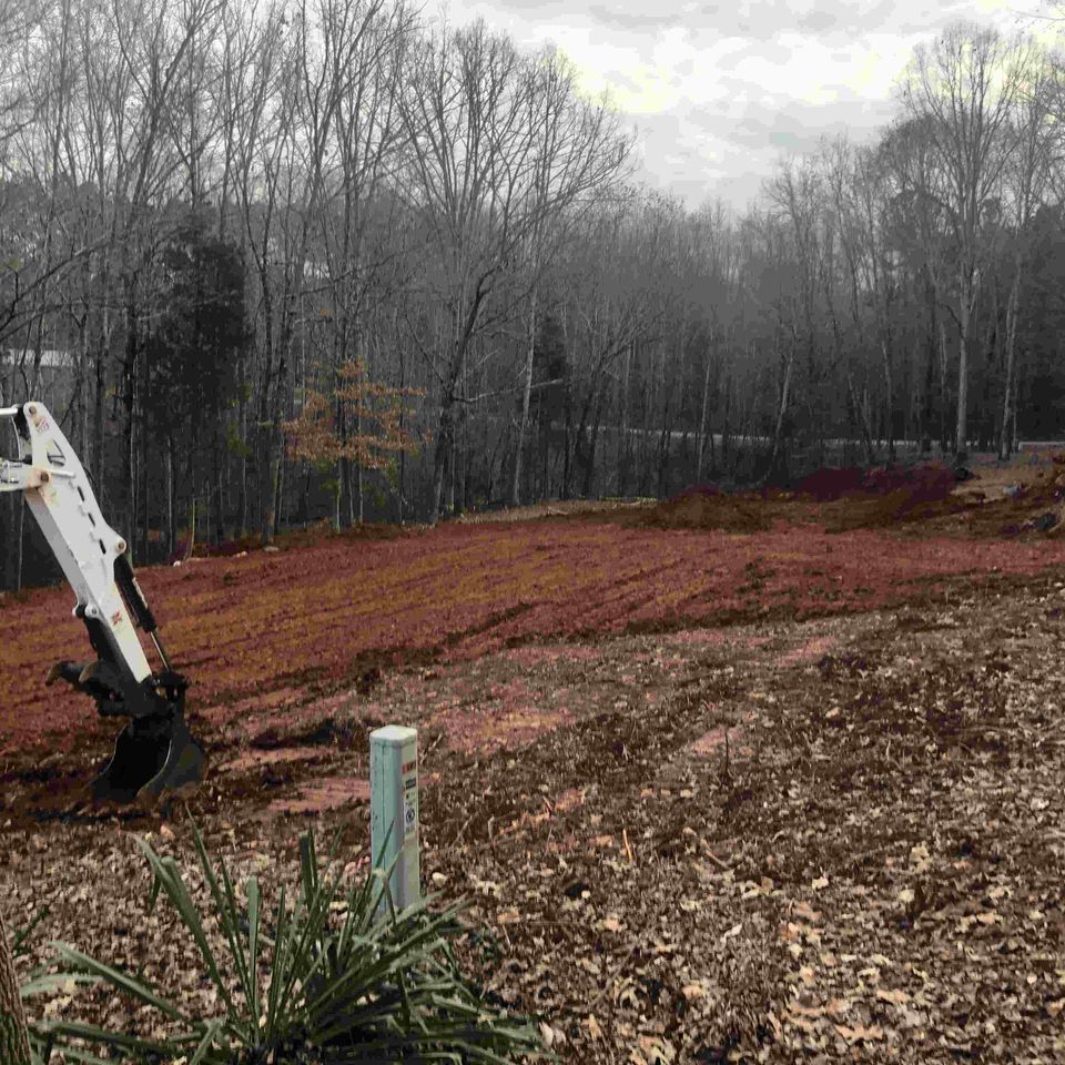 Land clearing6