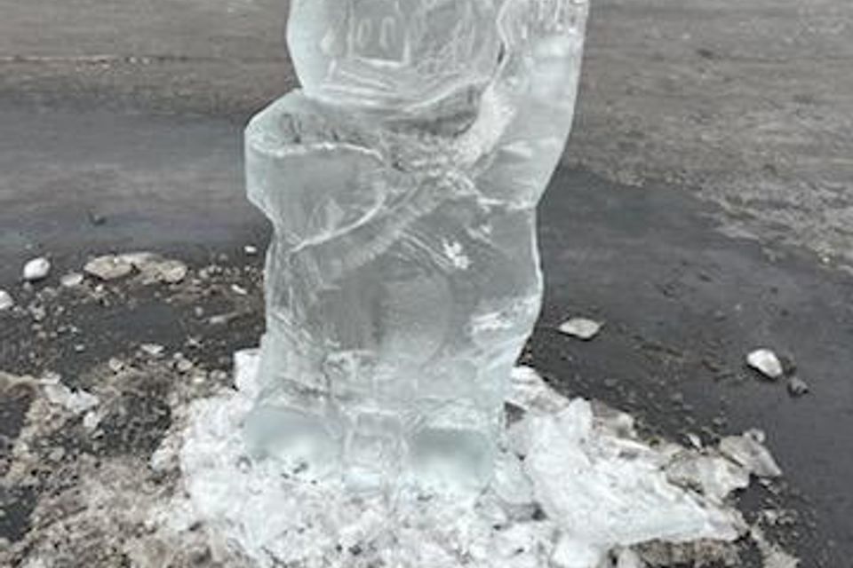 Ice carving 2025 50