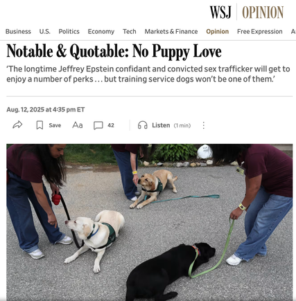 Wsj canine screenshot