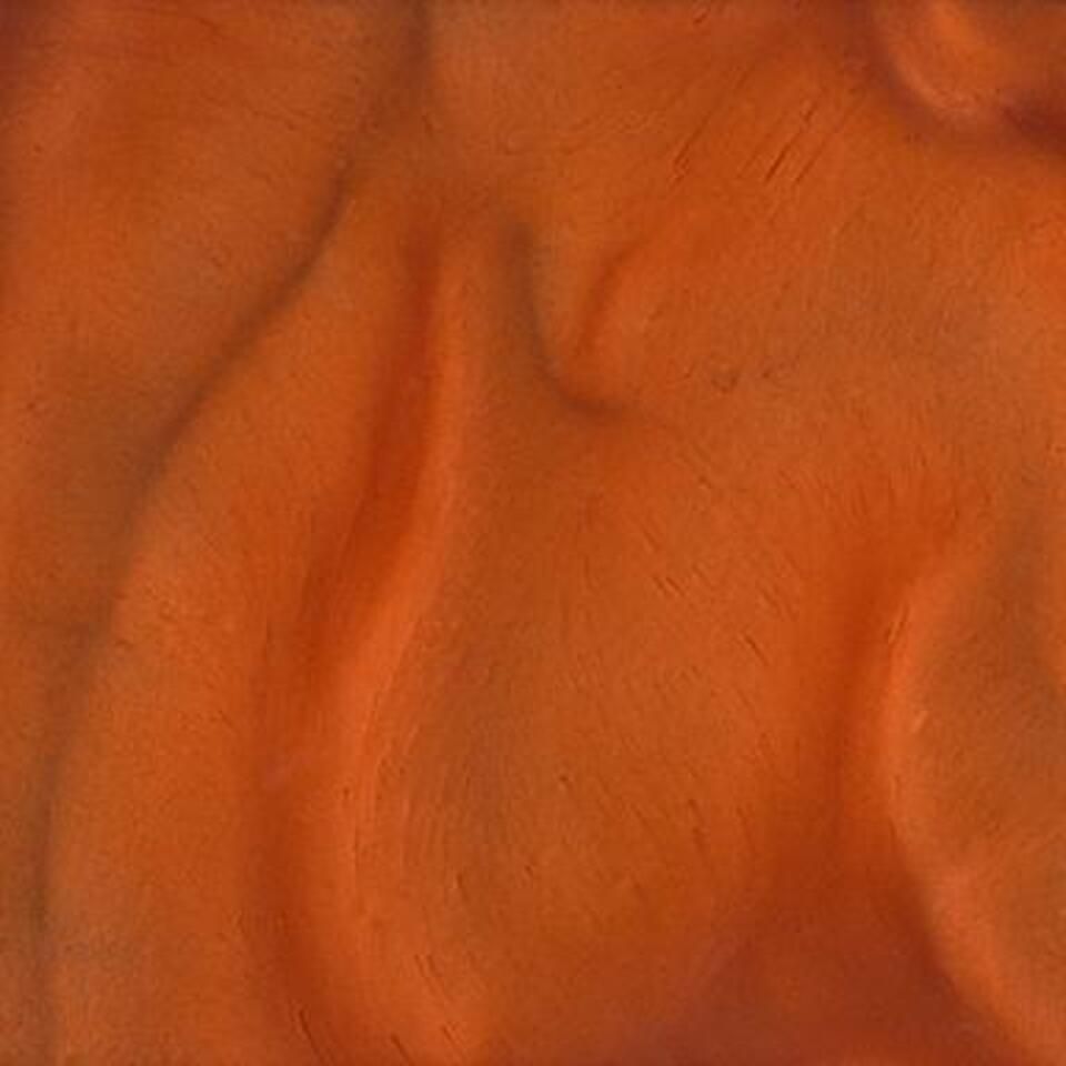 Torginol p1320 mango 960x960