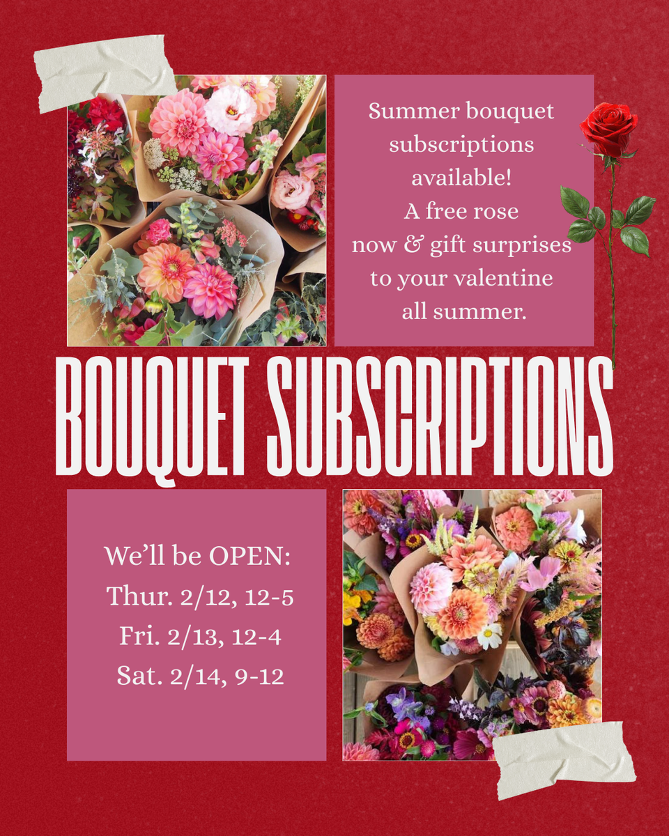 Red and white collage valentine's day instagram post