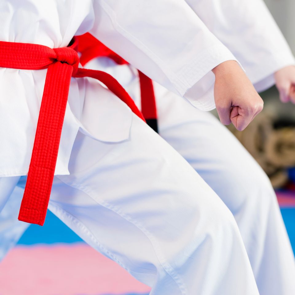 Karate students practicing the downblock position during karate class