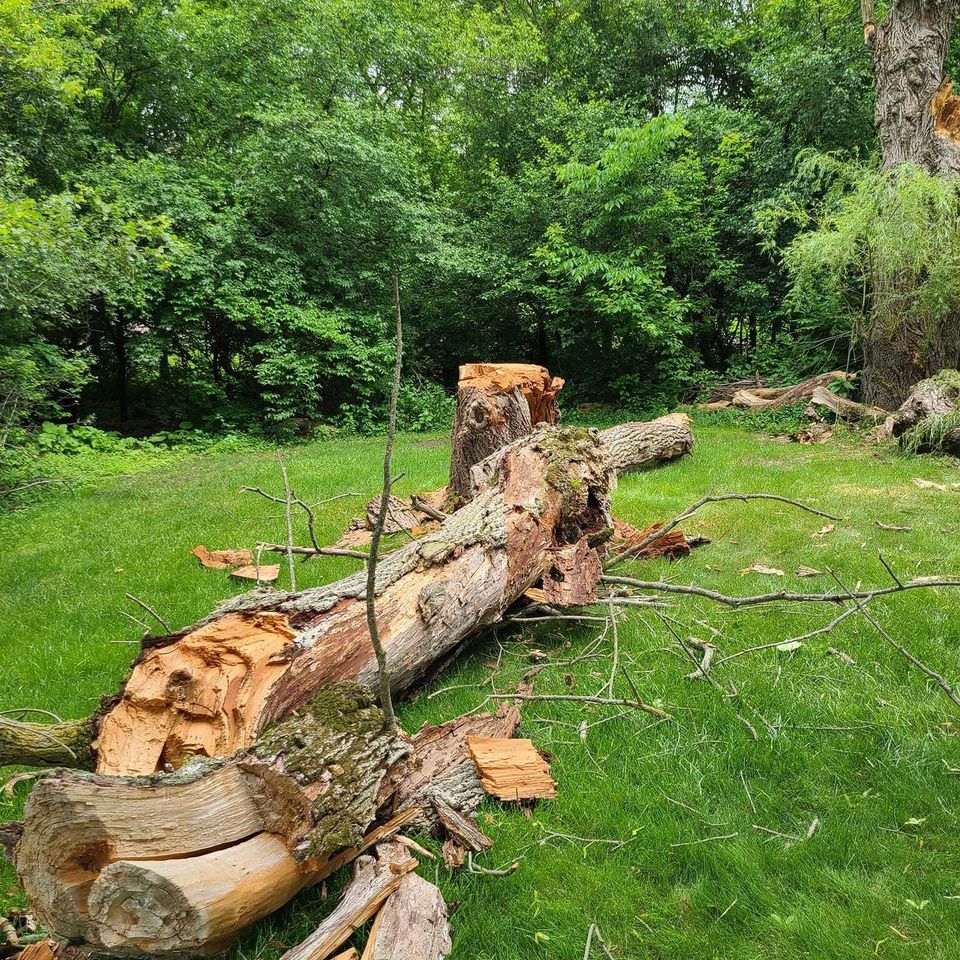 Log Removal