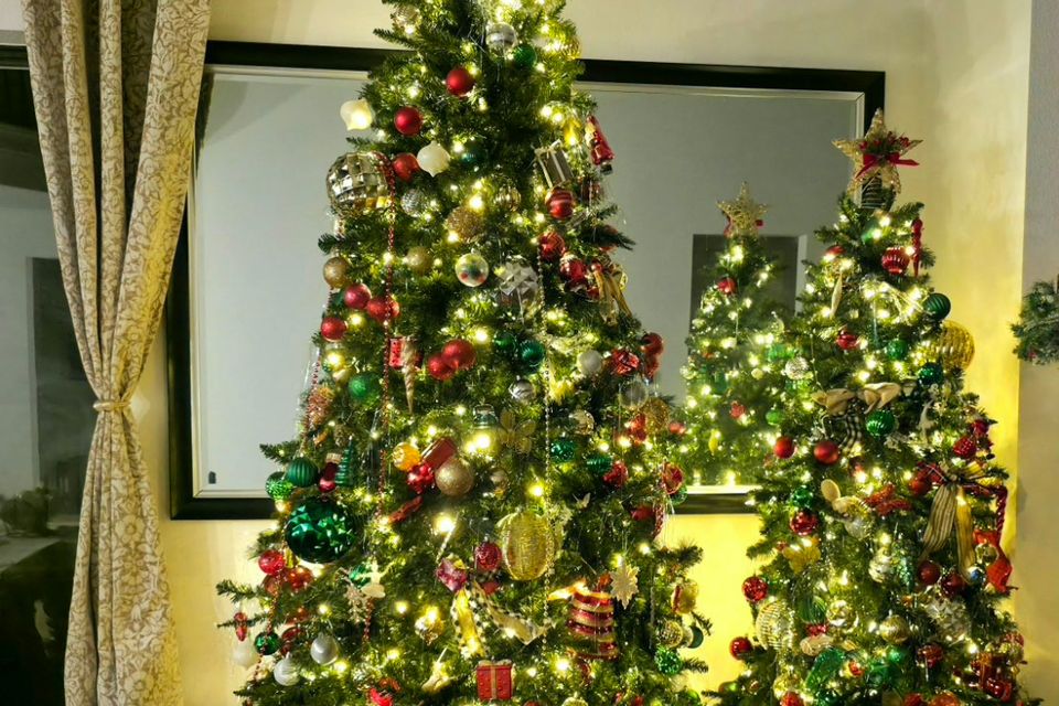 Image2 (1)