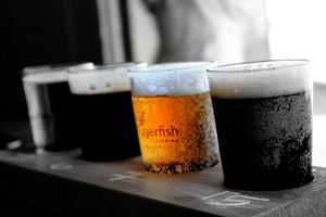 beer tasting