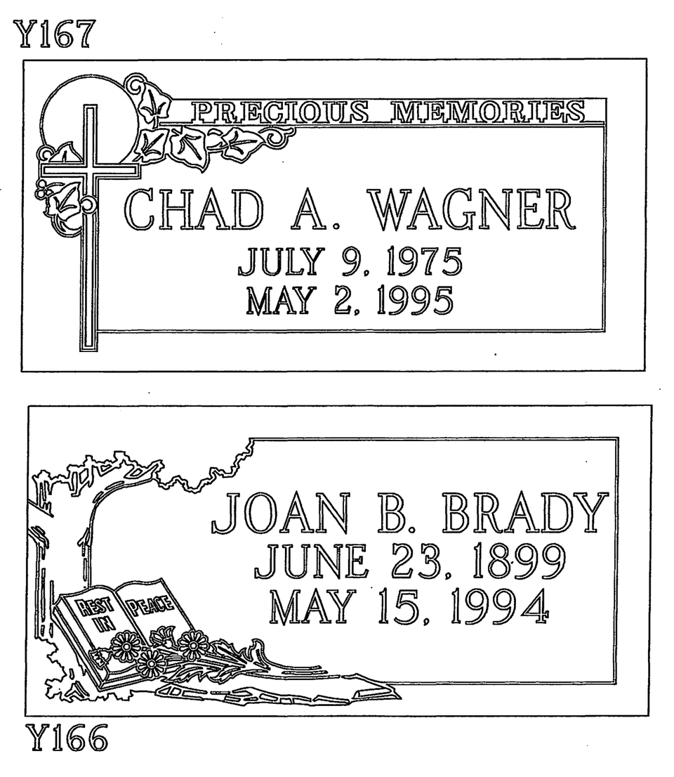 Y166 brady