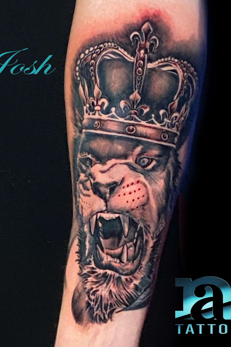 Josh roaring lion king