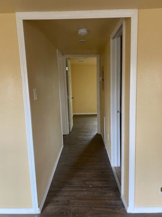Img 0650