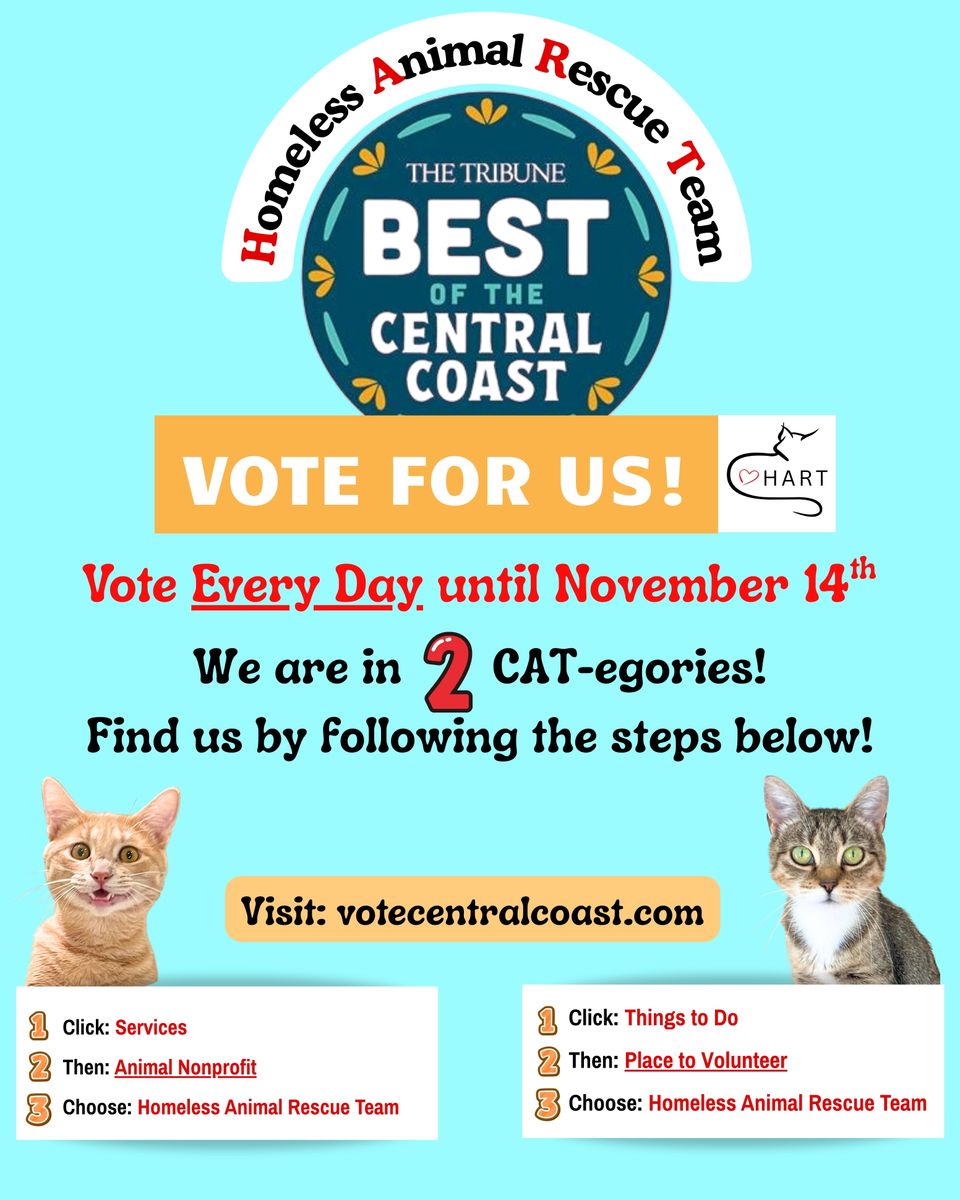 Vote for hart! best of central coast ( flyer) (instagram post (45))
