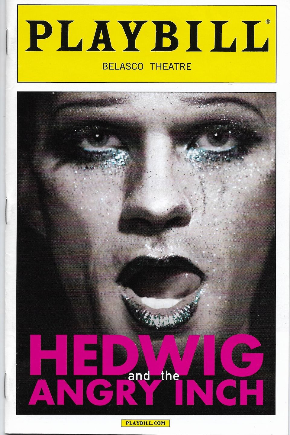 Hedwig and the angry inch