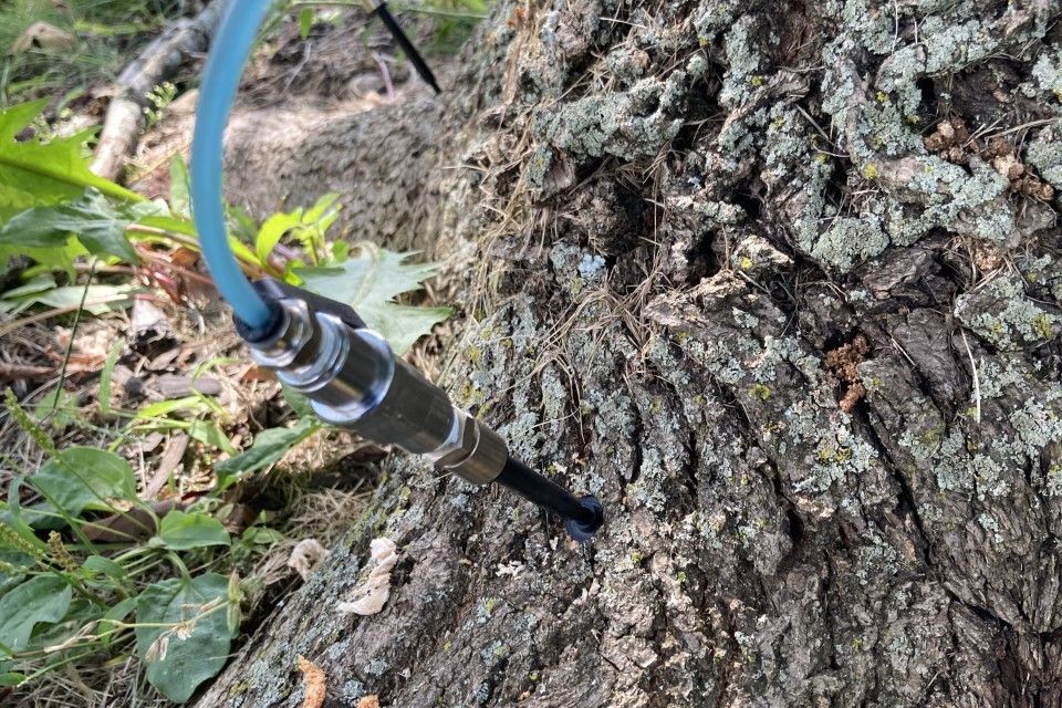 Plant health 5 (4 14 23)