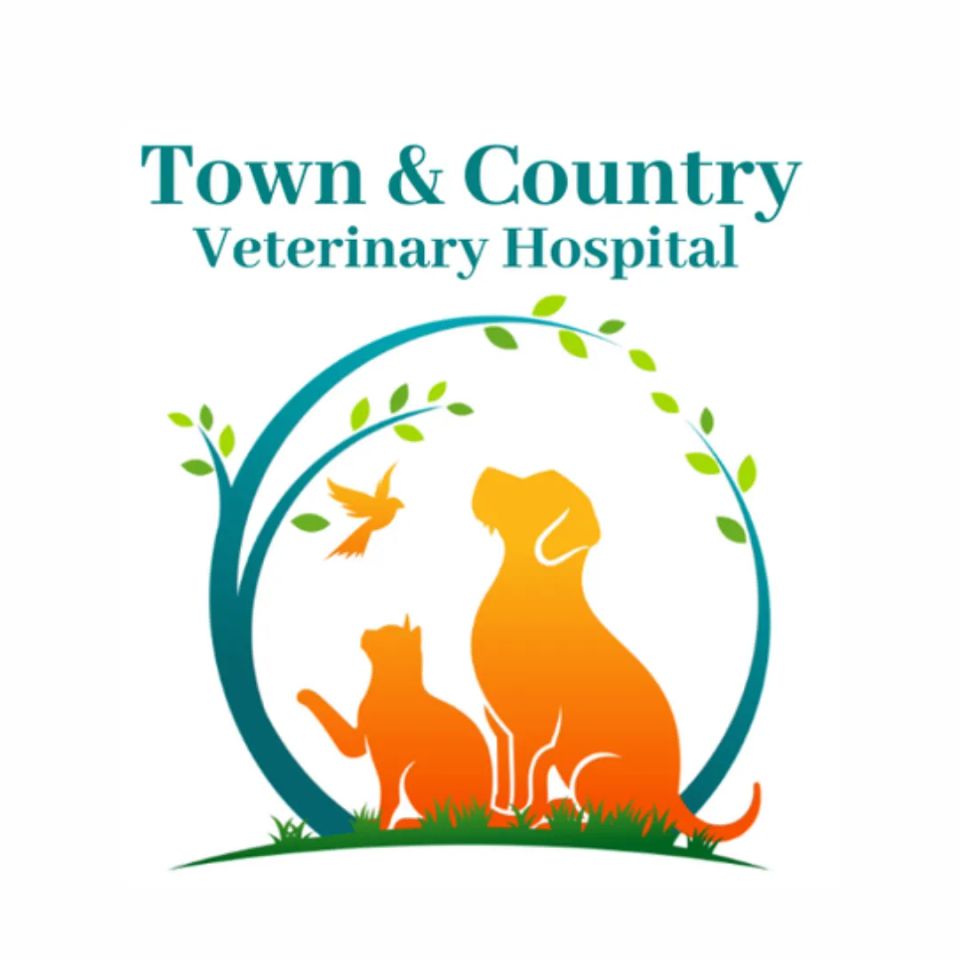 Town and country original