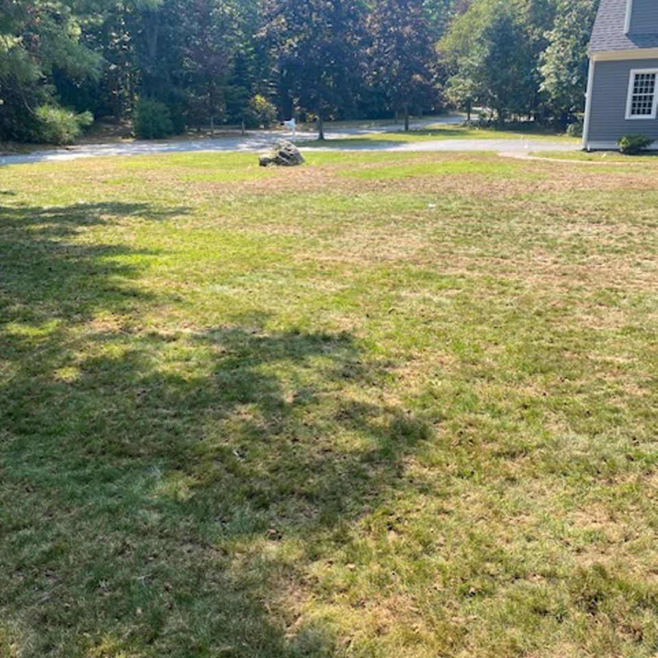 Sullivan front lawn restore photo before 1