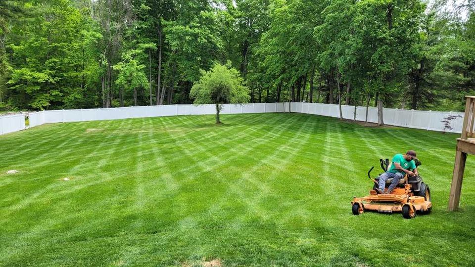 Carlos lawn 2