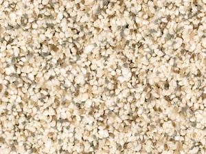 Devon classic iii   toasted grain  8.19