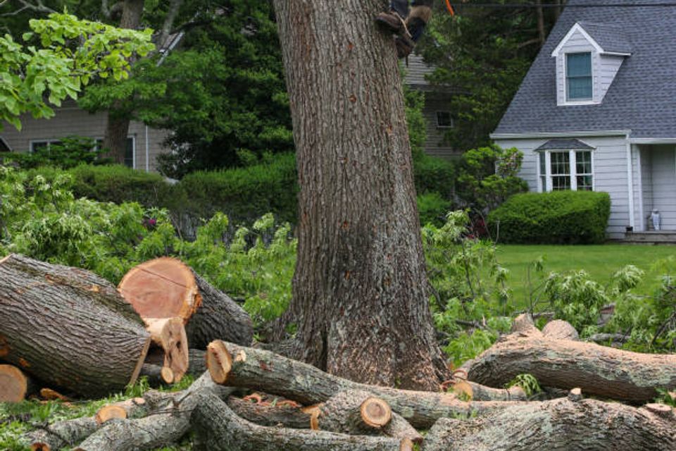 Istockphoto 1407831999 612x612