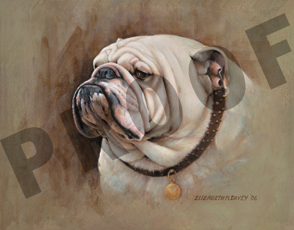 Betty pugilist full frame
