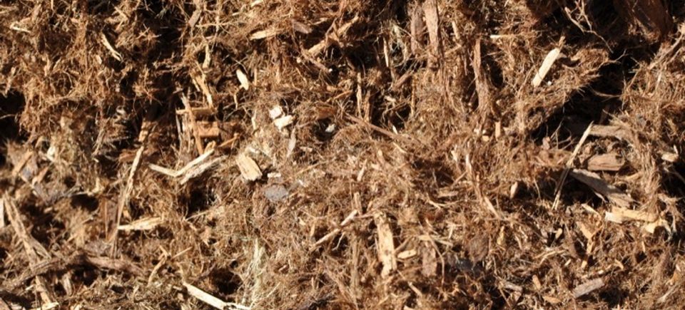 Shredded 20redwood20180315 11559 1r2hwv4