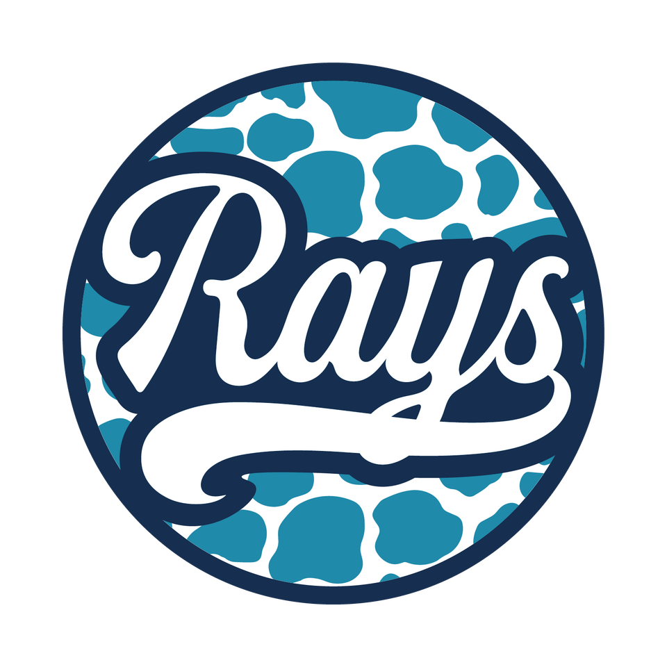 Sports   baseball rays