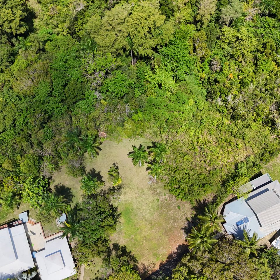 Dji 20250331112703 0398 d