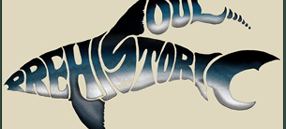 Shark file