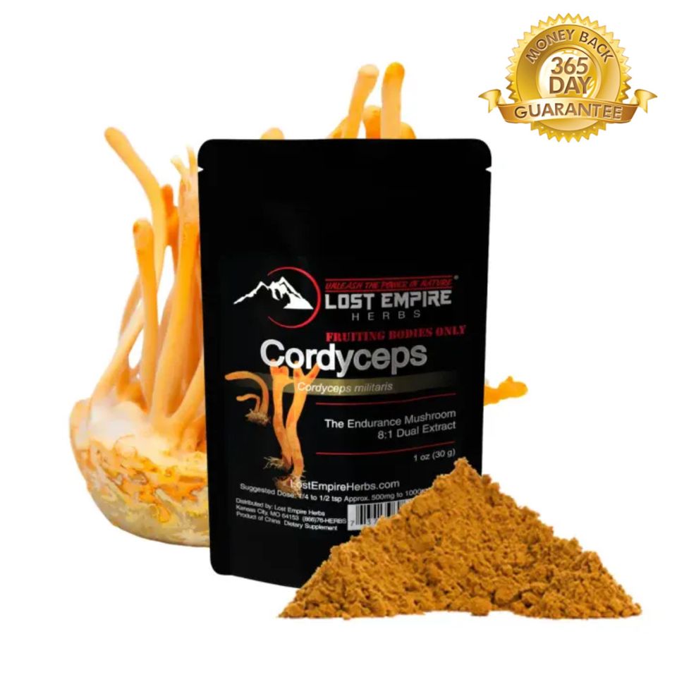 Buy cordyceps militaris mushroom extract powder
