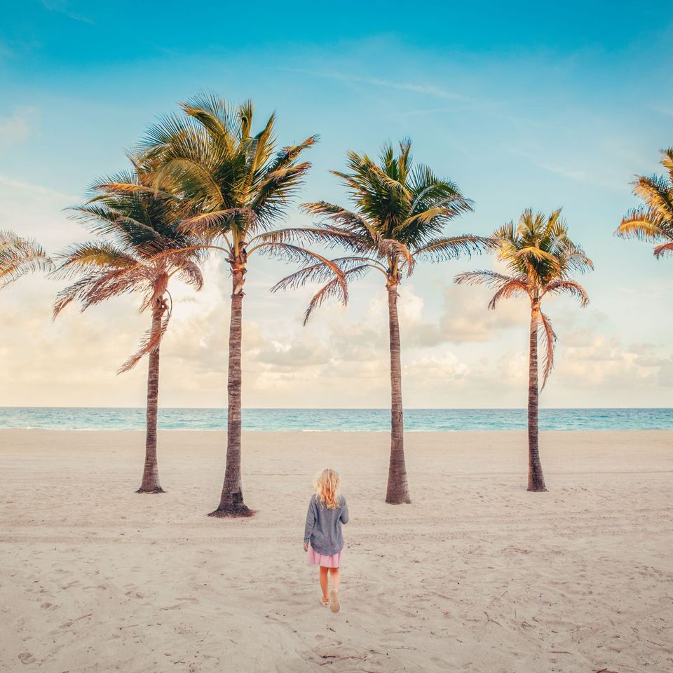 Adobestock 310283847