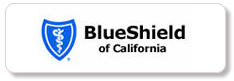 Blue shield icon