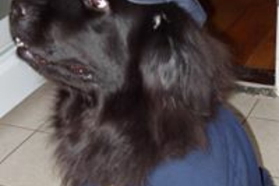 382579 320393171319733 1539888441 n 960x960