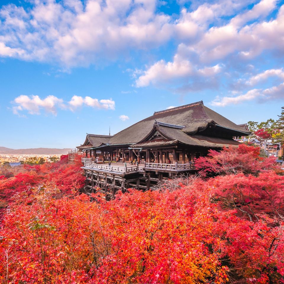 Adobestock 410943691