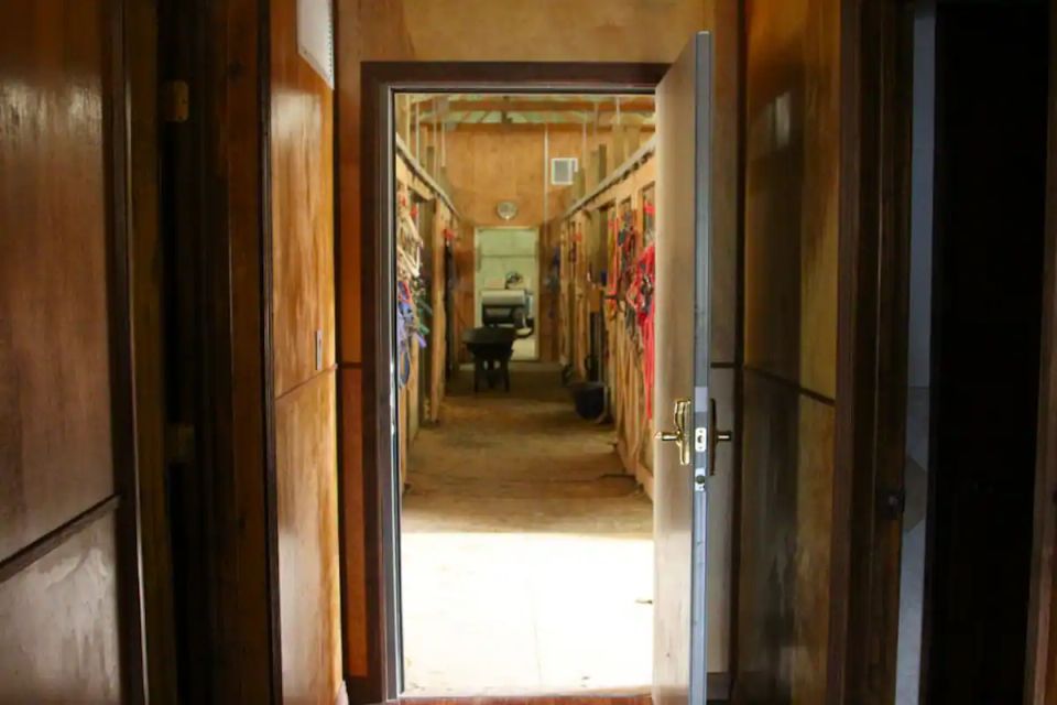 D13