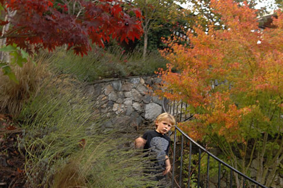 Sequoia valley residence 08