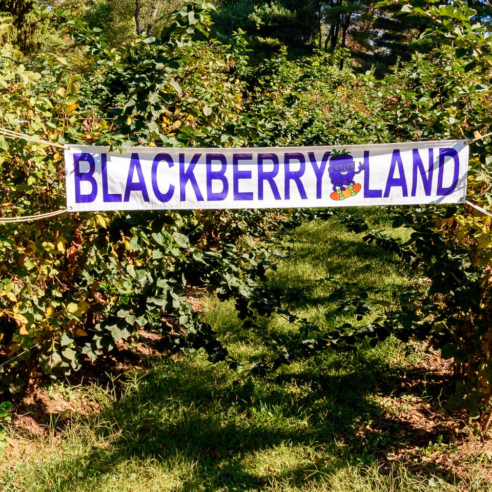 042 moskowphoto©2024