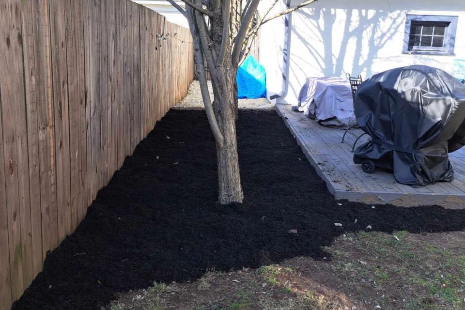 Backyard landscape bed with fresh black mulch surrounding a tree and adjacent to a wooden deck.