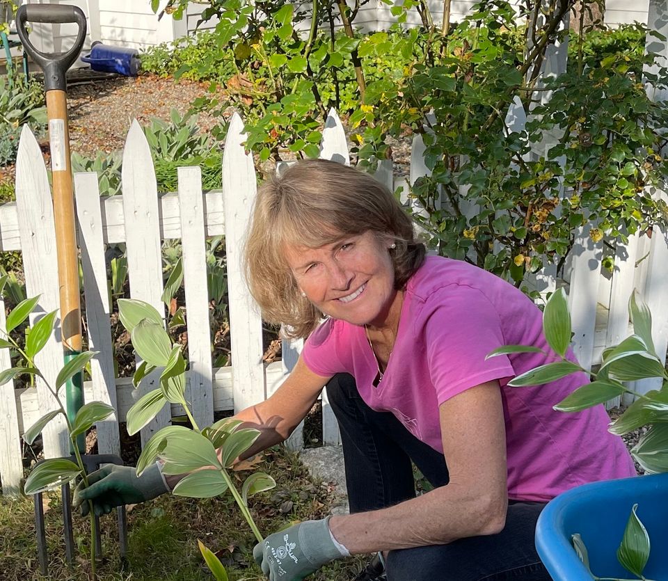 Patti dig plant sale