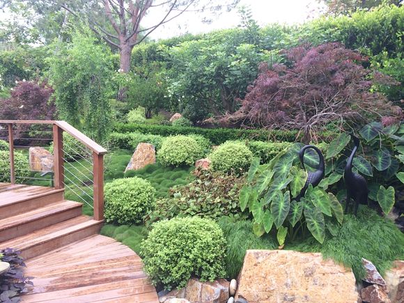 Residential landscape 43