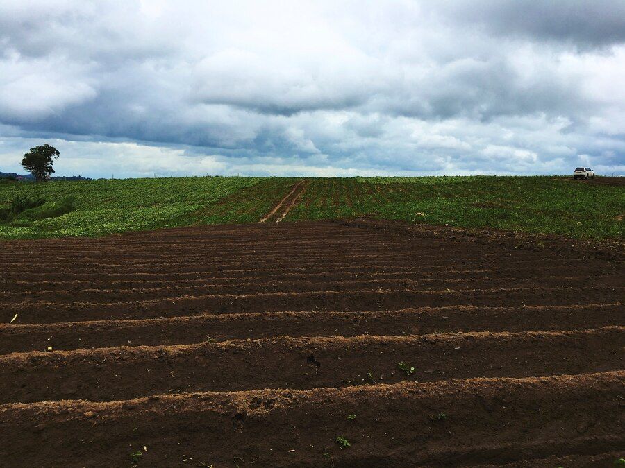 Countryside cloud agriculture organic concept 53876 23415