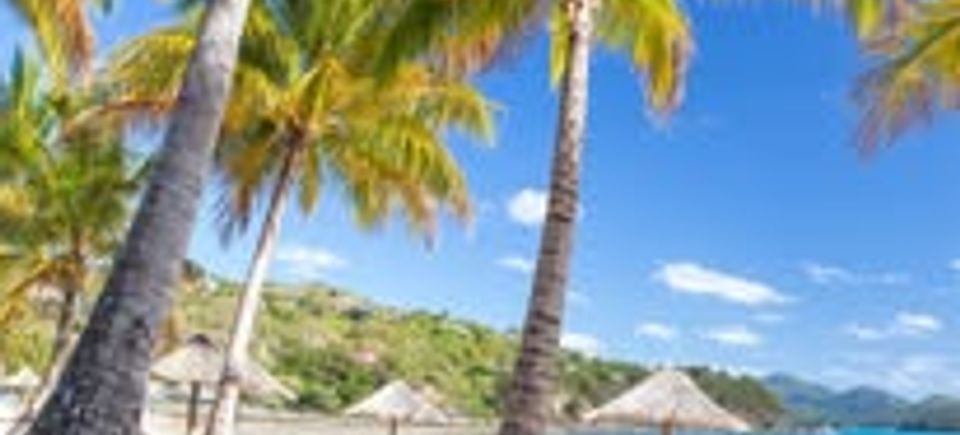 492549528 1367770731383685 1251531232216495406 n