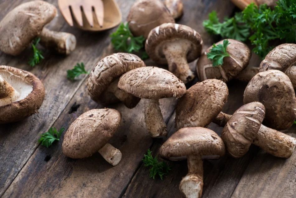 Shiitake mushrooms as197629491 950x634