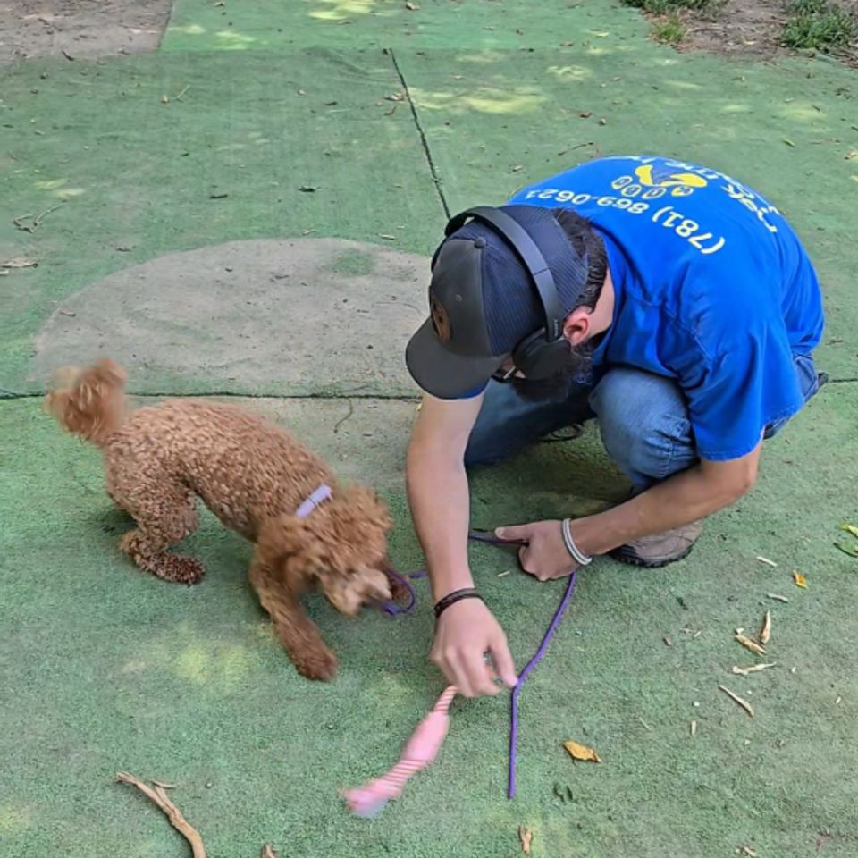 20250825 121710 exported 1585