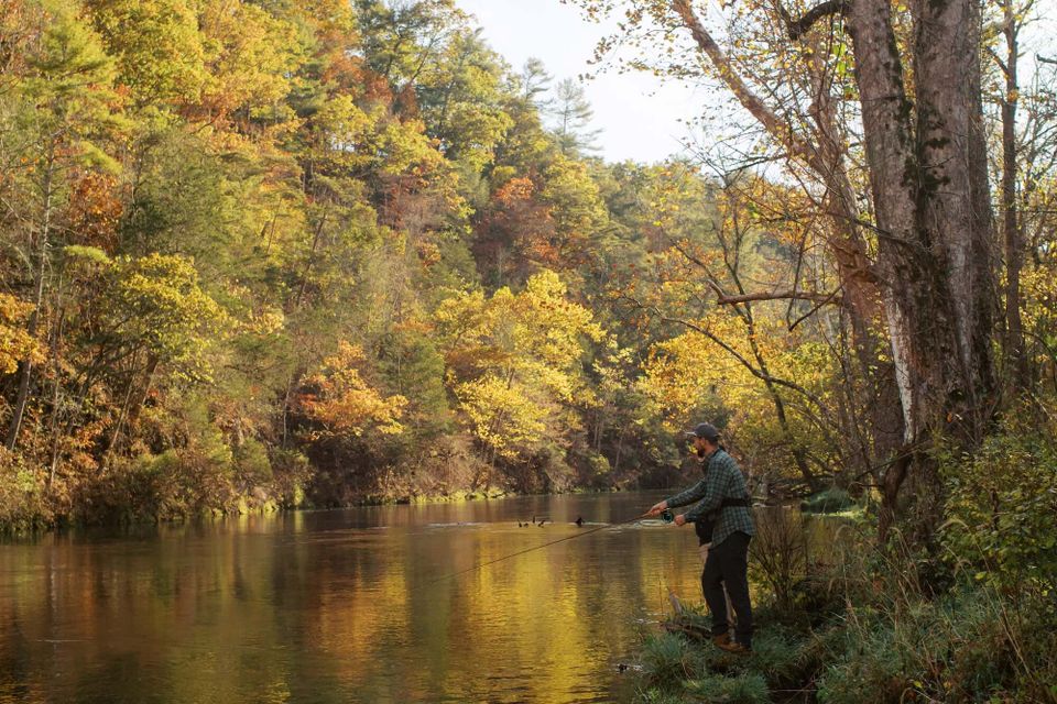 Buffalomountaincounseling 251021 0141