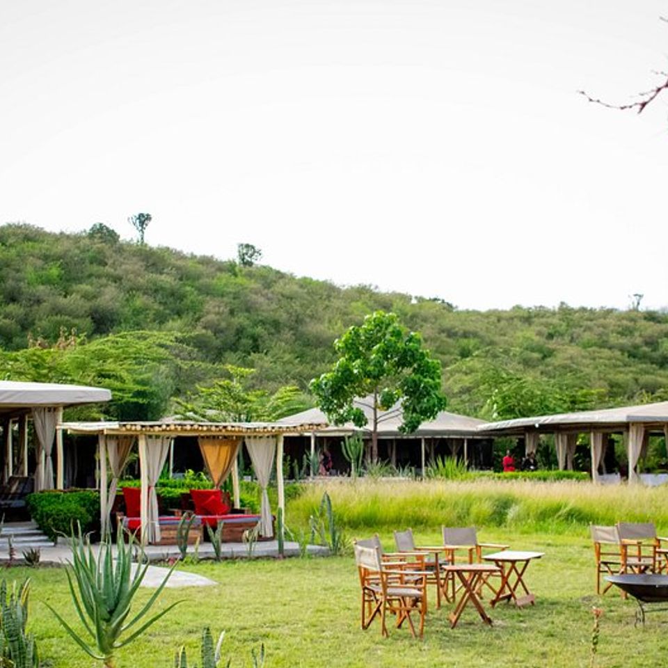 Zebra plains mara camp