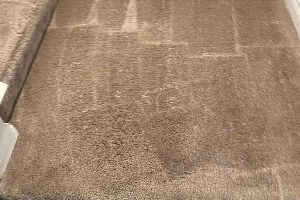 Steam clean 4 original