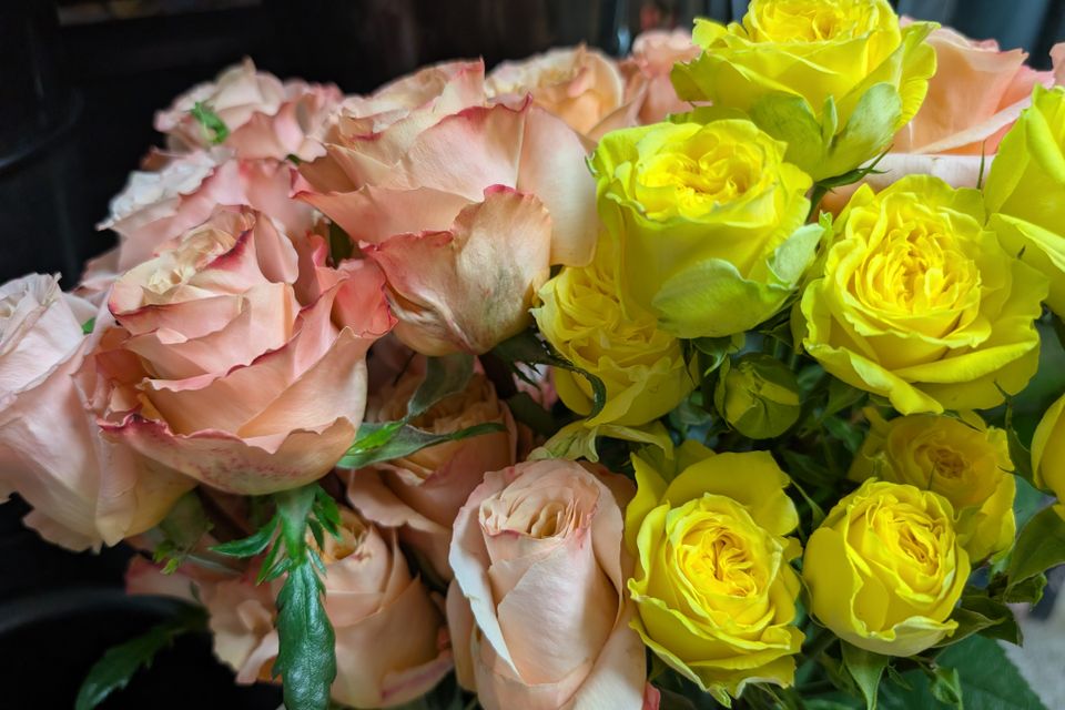 Pxl 20260304 161252740