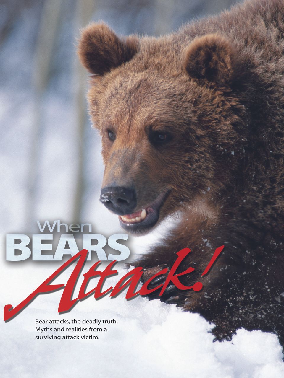 Bear attack copy